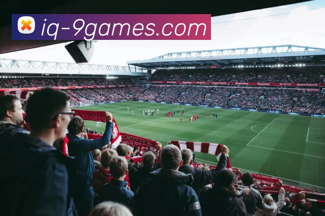 多媒体互动体验